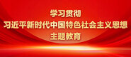 逼粗大操学习贯彻习近平新时代中国特色社会主义思想主题教育_fororder_ad-371X160(2)